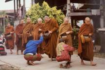Monks - Theravada Forest Sangha